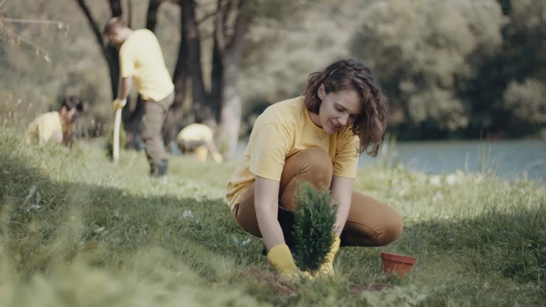 Best Hedge Trimming  in Wakarusa, IN